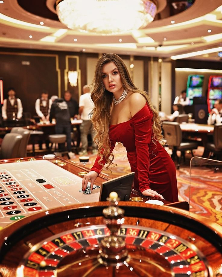5577bet