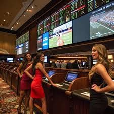 5577bet