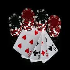 5577bet